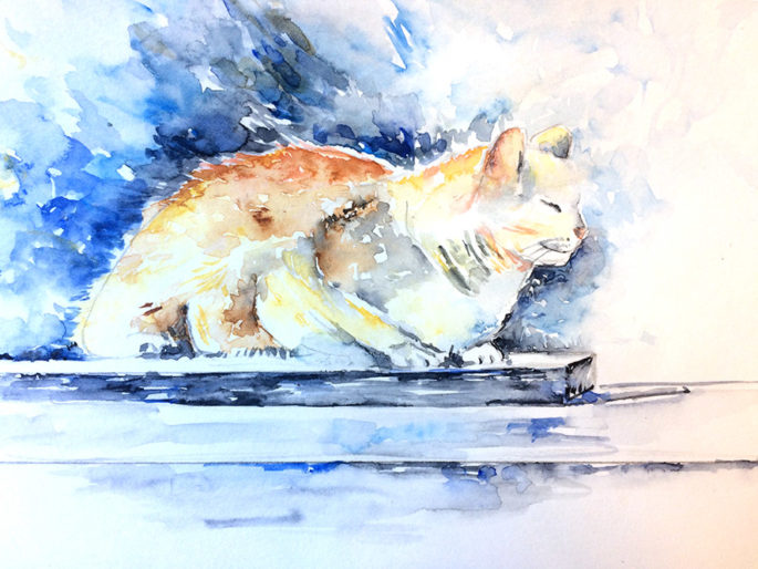 aquarelle chat